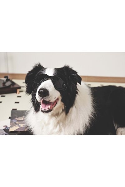 M-PETS SUNNY TRAILBLAZER KÖPEKLER İÇİN GÖZLÜK BLACK