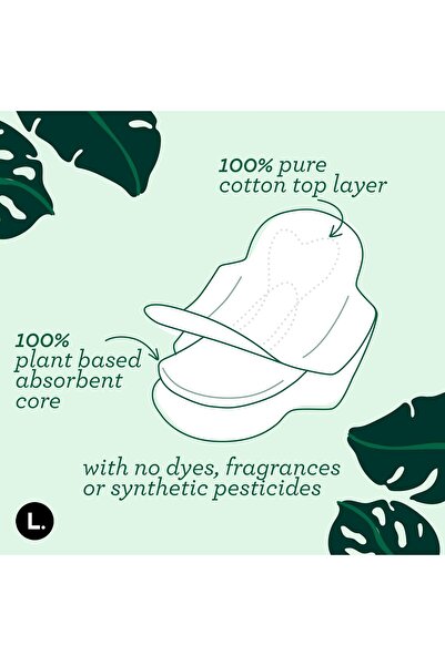 thisisL. Chlorine-Free Ultra Thin Pads with Wings, Regular Absorbency, 42 Count (Pack of 1)