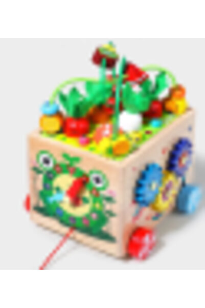 Picodino Wooden Educational Montessori Cube, Activity Cube for Babies 5 in 1