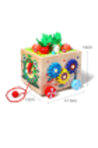 Picodino Wooden Educational Montessori Cube, Activity Cube for Babies 5 in 1