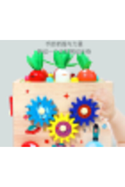 Picodino Wooden Educational Montessori Cube, Activity Cube for Babies 5 in 1