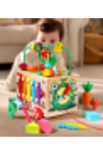 Picodino Wooden Educational Montessori Cube, Activity Cube for Babies 5 in 1