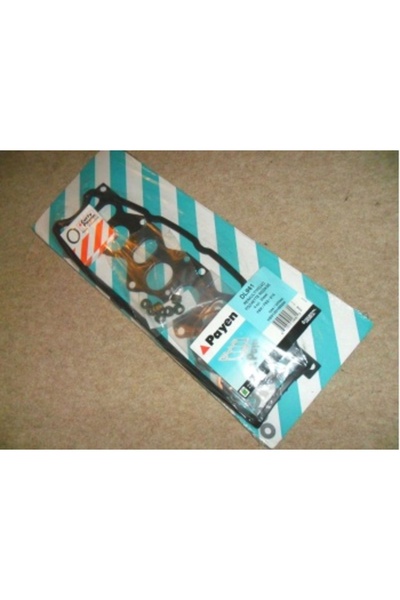 PAYEN Renault Ust Takım Contası R19 D Express Kangoo Clio 1,9d F8q Carısma 1,...