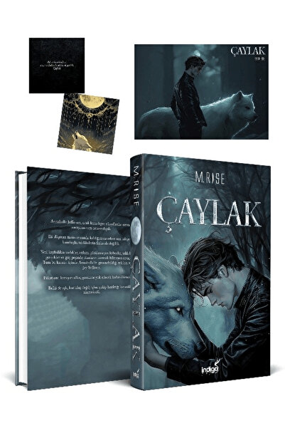 İndigo Kitap Çaylak / M. Rise / / 9786255841391