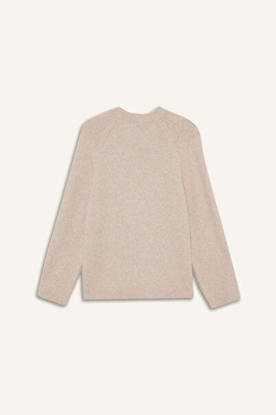 DeFacto Regular Fit Bisiklet Yaka Triko Kazak G1396AX25WN