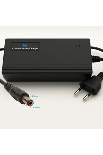 36 Volt (12S) 3 Ah Lifepo4 Şarj Cihazı 43.8 Volt