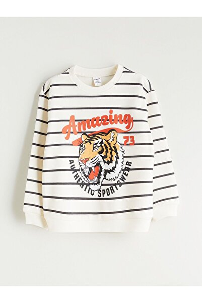 LC Waikiki LCW baby Crew Neck Baby Boy Sweatshirt