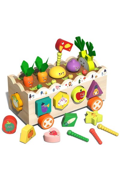 OEMN Jucarie Motricitate Masinuta de Tras Gradina cu Legume si Sortare Forme