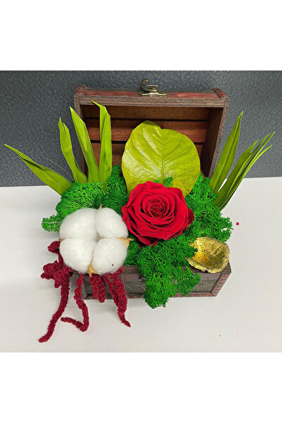 velve Floral arrangement with red cryogenic rose on a bed of green lichen in a chest-type box