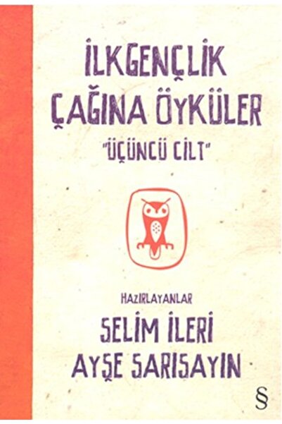 Everest Yayınları İlkgençlik Çağına Öyküler - 3. Cilt