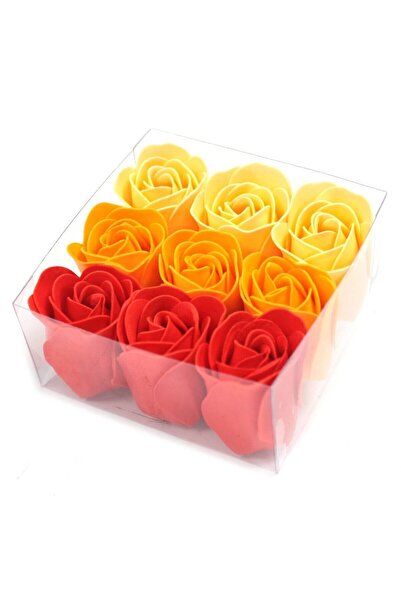 XTERRA SET 9 BOBOCI DE TRANDAFIRI NUANȚE PIERSICĂ ÎN CUTIE CADOU | FLORI DIN ...