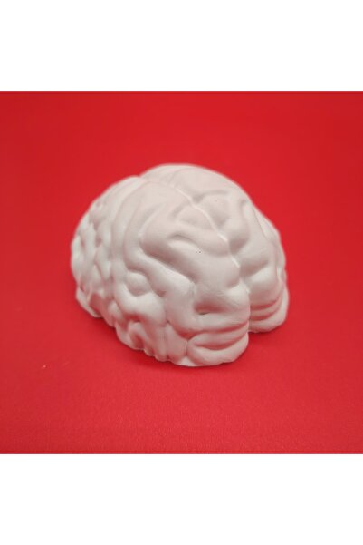 OEM Figurina din ipsos Creier 3D, 5.5x4.6 cm