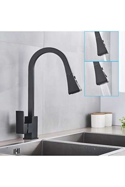 Trendy's Kitchen faucet, pull-out shower head, matte black