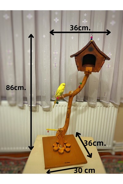 Ciko Kafes House Model Playground for Birds