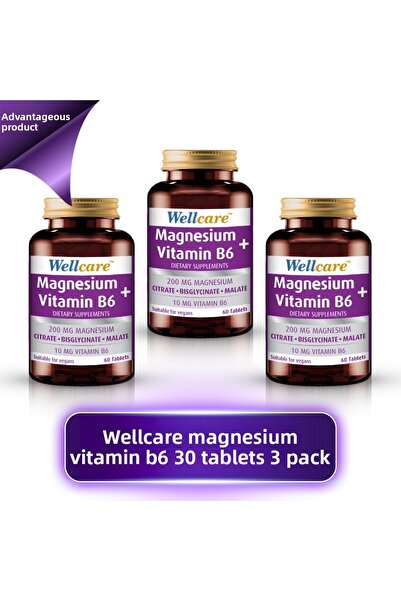 Wellcare Magnesium Vitamin B6 30 Tablets 3 Pcs