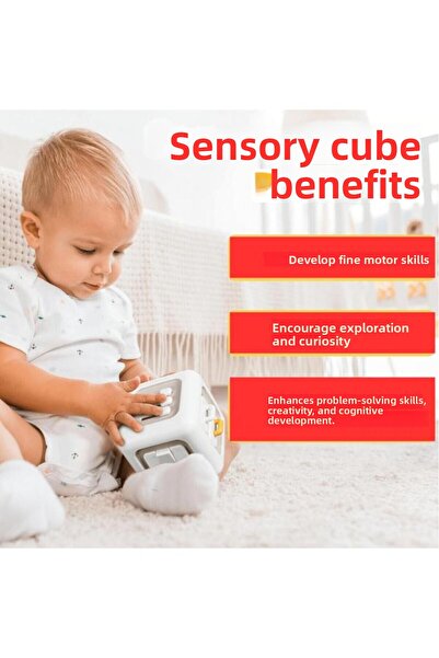 Schulzz 6 in 1 Educational Activity Cube