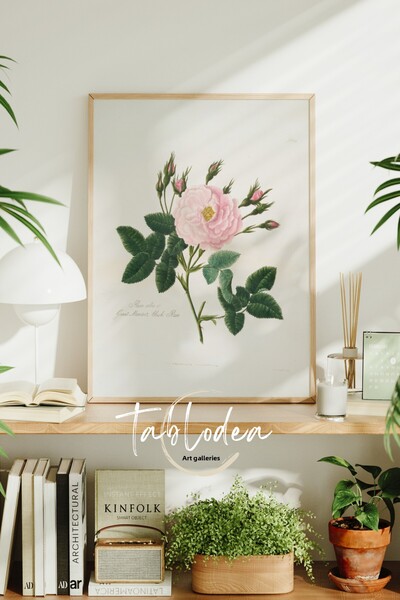 tablodea Tablou cu poster înrămat vintage cu trandafir roz pal, pictură moder...