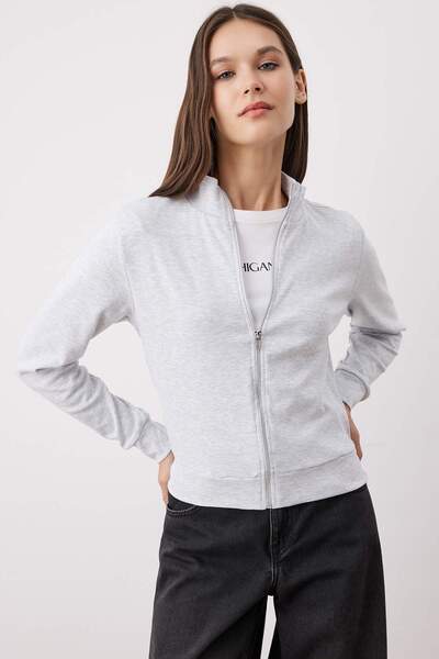 Trendyol Collection Γκρι μελανζέ φούτερ με φερμουάρ Slim/Fitted TWOAW26SW00006