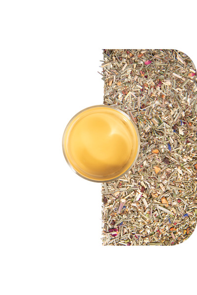 Asia Chai Art Cold Play 12'li Poşet Çay