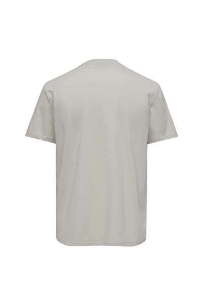 Only & Sons O Yaka Baskılı Taş Erkek T-Shirt ONSLEX LIFE REG PHOTOPRINT SS TEE