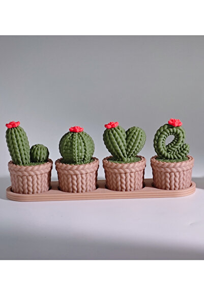craftopya Love Örgülü Kaktüs Dekor