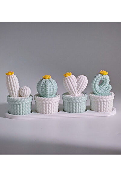 Love Braided Cactus Decor