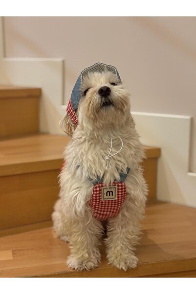 HAVDROBE Fast Food Temalı Göğüs Tasması