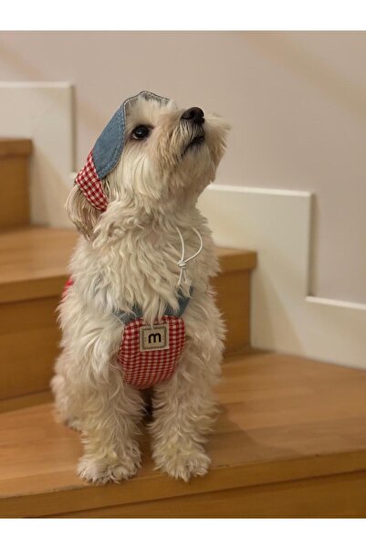 HAVDROBE Fast Food Temalı Göğüs Tasması