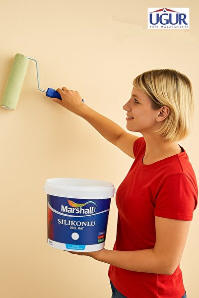 Marshall Silikonlu Özel Mat Iç Cephe Boyası - 7,5 Lt Tütsü
