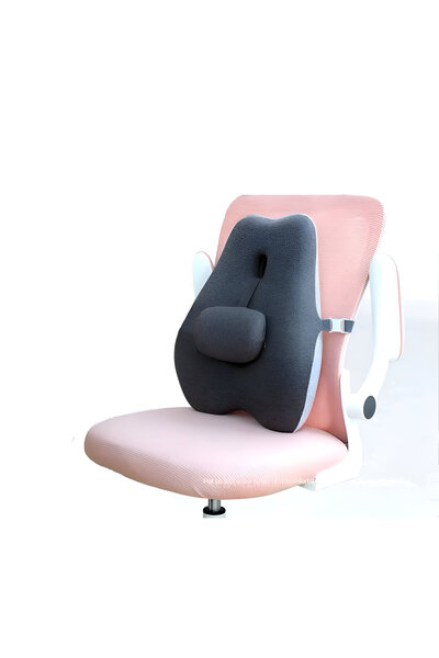 Essentials 360 ® Lumber Support Pillow for Office Chair Memory Foam Cushion Back Support