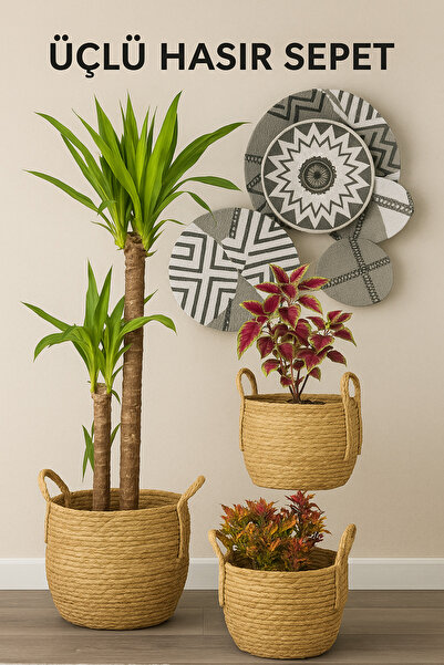 Cherry Collection Hasır Sepet 3 Boy Lüx Organizer, Saksı Sepeti, Dekoratif Se...
