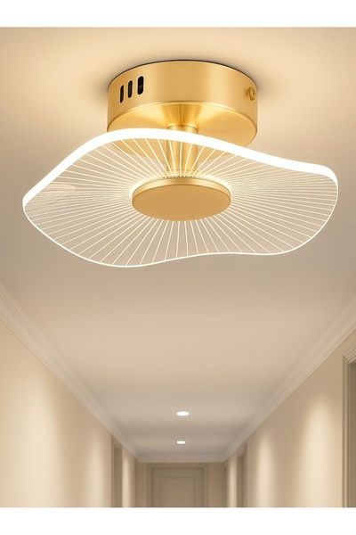 Fico Home Modern Led Avize Plafonyer Tavan Avize Hol Antre Mutfak Avizesi French Gold 19Cm Çap