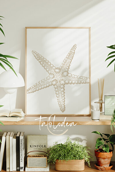 tablodea Minimalist Denizyıldızı Temalı Çerçeveli Poster Tablo Bohem Dekoratif Pinterest Modern Duvar Tablosu