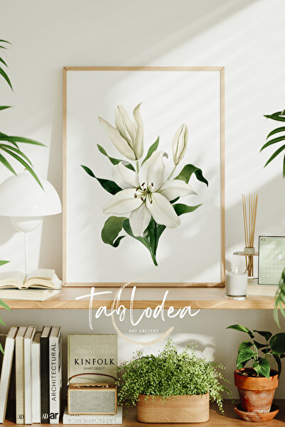 tablodea Tablou vintage cu crin alb, Poster vintage înrămat, Tablou vintage P...