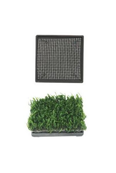 Ista Bitki Tabanı Seramik 6.5 cm Kare