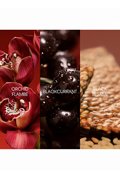 Calvin Klein My Euphoria Edp Parfüm 50 ml