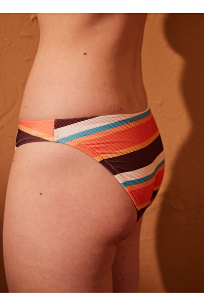 Penti Çok Renkli Kadın Barisa Slip Bikini Altı PLGXOZXF23IY