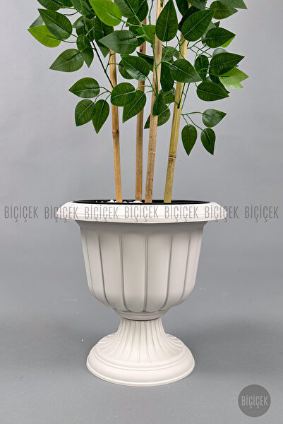 BİÇİÇEK Yapay Benjamin Ağacı 170cm Yoğun Yapraklı Bambu Gövdeli Kırıkbeyaz Renk Nergis Saksıda