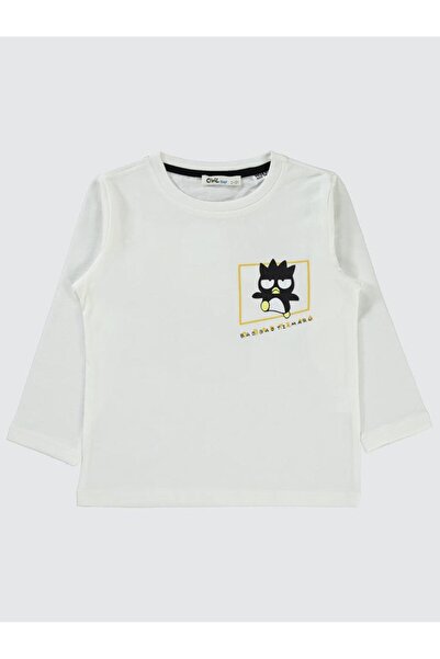 Civil Boys 2-5 Years Old Boy Ecru Sweatshirt