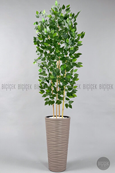 BİÇİÇEK Yapay Benjamin Ağacı 180 cm Yoğun Yapraklı Bambu Gövdeli Bej Renk Kumsal Saksıda