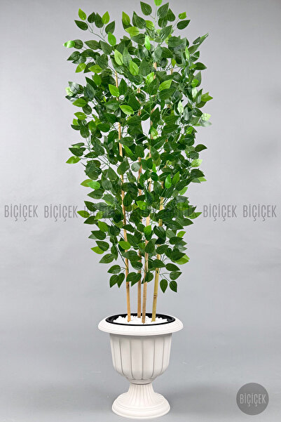 BİÇİÇEK Yapay Benjamin Ağacı 170cm Yoğun Yapraklı Bambu Gövdeli Kırıkbeyaz Renk Nergis Saksıda