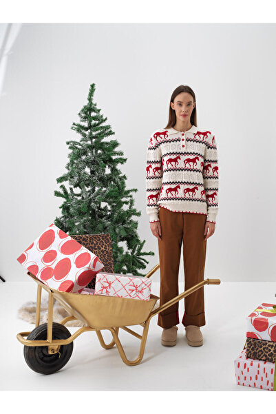 Xint Kadın Ekru Yünlü Desenli Kazak