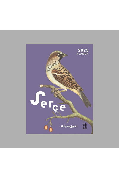 Ketebe Serçe Ajandası 2025 - Kolektif