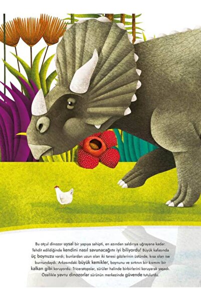 Ketebe Devasa Dinozorların Büyük Kitabı & Minik Dinozorların Küçük Kitabı Cristina Banfi