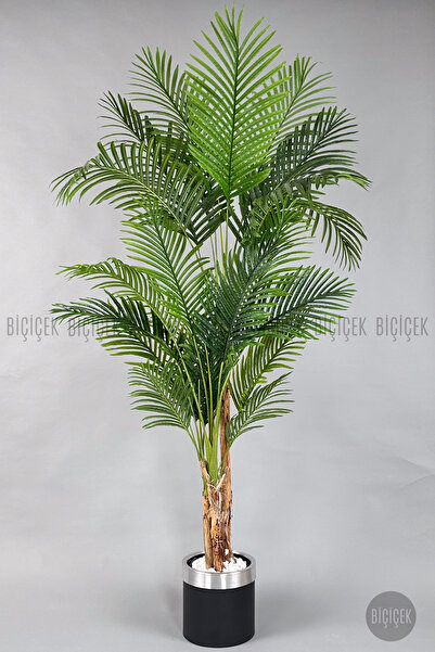 BİÇİÇEK Areka Palmiyesi 220cm metal siyah gümüş saksıda