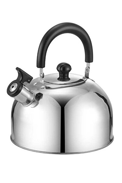 fulina Tea Kettle, Stainless Steel Teapot with Heat-resistant Handle, Whistling Stovetop for Home