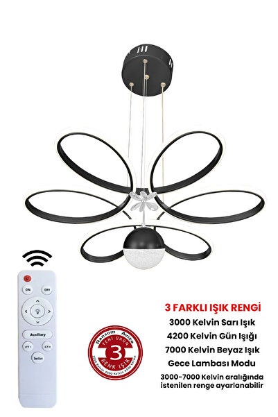 RANSOM 3 Renk Toplu Kelebekli Kumandalı Papatya Salon Led Avize Siyah Kasa Ledli Avize