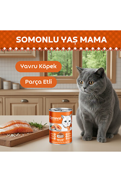 Carnaval Parça Etli Somonlu Kedi Konservesi 400 Gr X 1 Adet