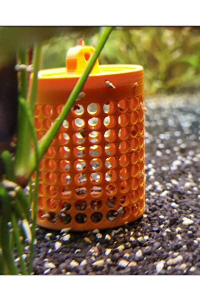 PUREYSMA Akvaryum Salyangoz Kapanı – Küçük Salyangozlar İçin Yemlik Tuzak Kutusu