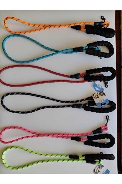 MİANNA KÖPEK TASMASI